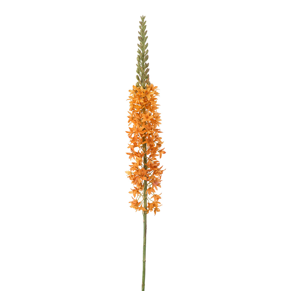 Decorative branch with flowers Orange Green