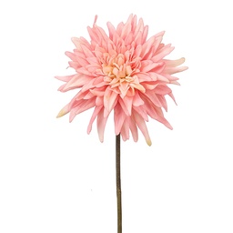 [6PL0439LP] Branche décorative avec fleurs Rose 50 cm