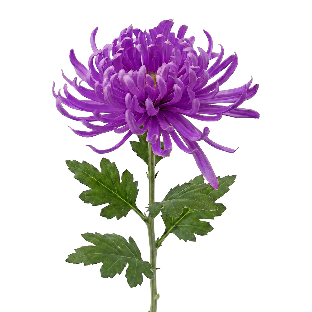 Dekorativer Zweig mit Blumen Violett Grün 76 cm