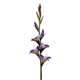 [5PL0330PA] Branche décorative avec fleurs Violet Vert 92 cm