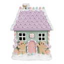 Decorazione Casa Verde Rosa Viola 17x14x21 cm