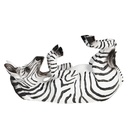 Portabottiglie Vino Zebra Nero 32x12x18 cm