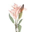 Branche de décoration avec fleurs Rose Vert 12x16x88 cm