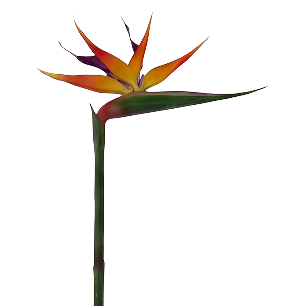 Decorazione ramo con fiori Arancio Verde 100 cm