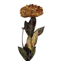[6PL0405DY] Fleur artificielle Jaune Vert 10x10x65 cm