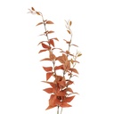 Artificial Flower Orange Green 10x10x78 cm