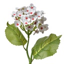 Artificial Flower White Green 19x10x37 cm