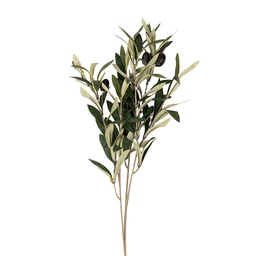 [6PL0371] Branche de décoration avec olives Vert 10x10x55 cm