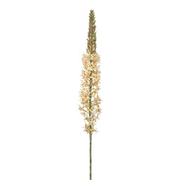 [5PL0381W] Decoratie tak met bloemen