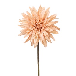 [6PL0439BE] Branche décorative avec fleurs Beige 50 cm