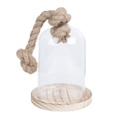 Cloche en Verre Transparent Ø 12x19 cm