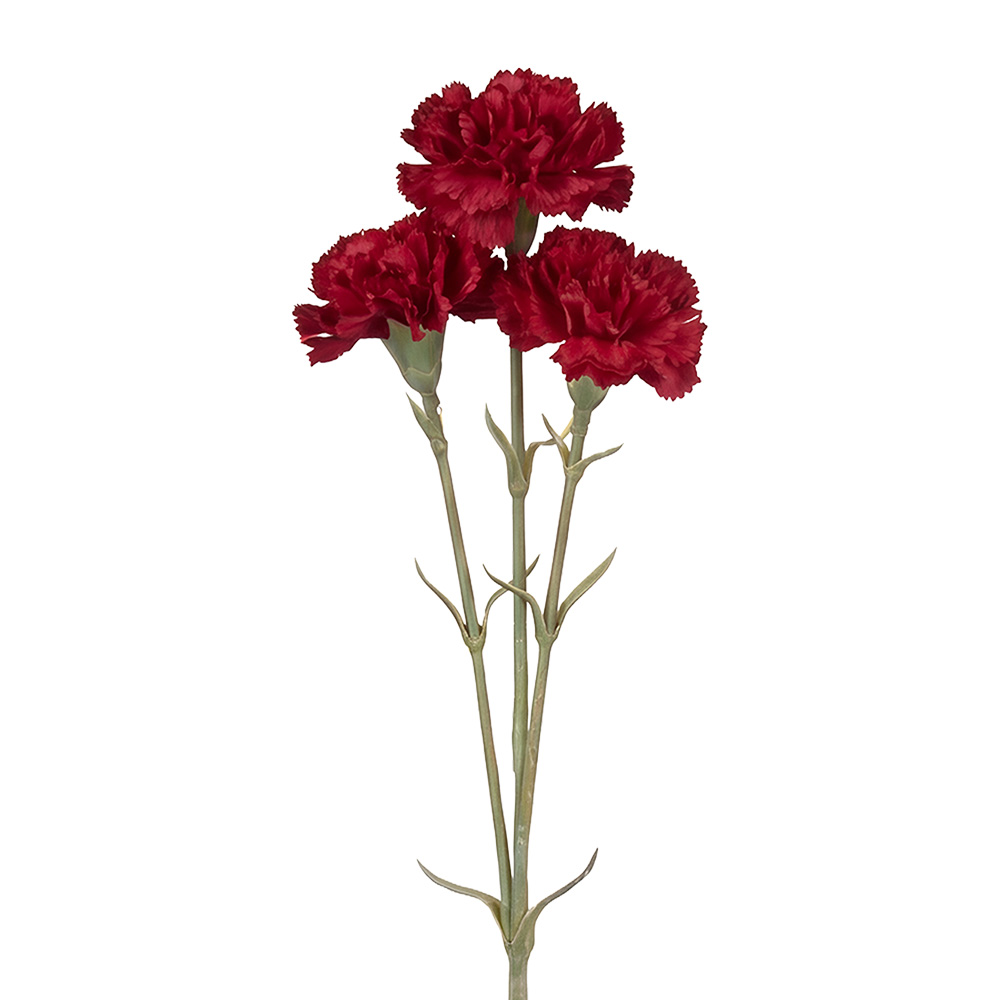 Decorazione ramo con fiori Rosso Verde