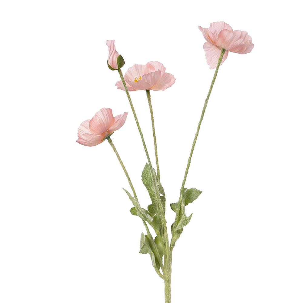 Branche décorative avec fleurs Rose Vert