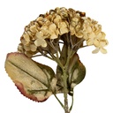 Branche de décoration avec fleurs Beige Vert 15x15x47 cm