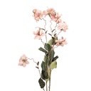 Branche de décoration avec fleurs Rose Vert 14x14x120 cm