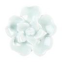 Pomello per Porta Verde Ø 6x3 cm / S3 cm