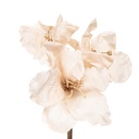 Fiori Finti Beige Marrone 16x16x65 cm