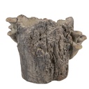 Blumentopf für Innen Braun Beige 24x18x18 cm