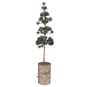 Albero di decorazione Verde Marrone 14x14x60 cm