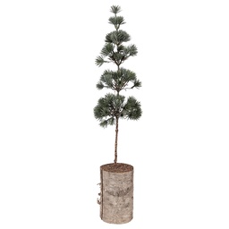 [50841] Albero di decorazione Verde Marrone 14x14x60 cm