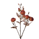Rami Artificiali Decorativi con fiori Arancio Marrone 16x9x73 cm