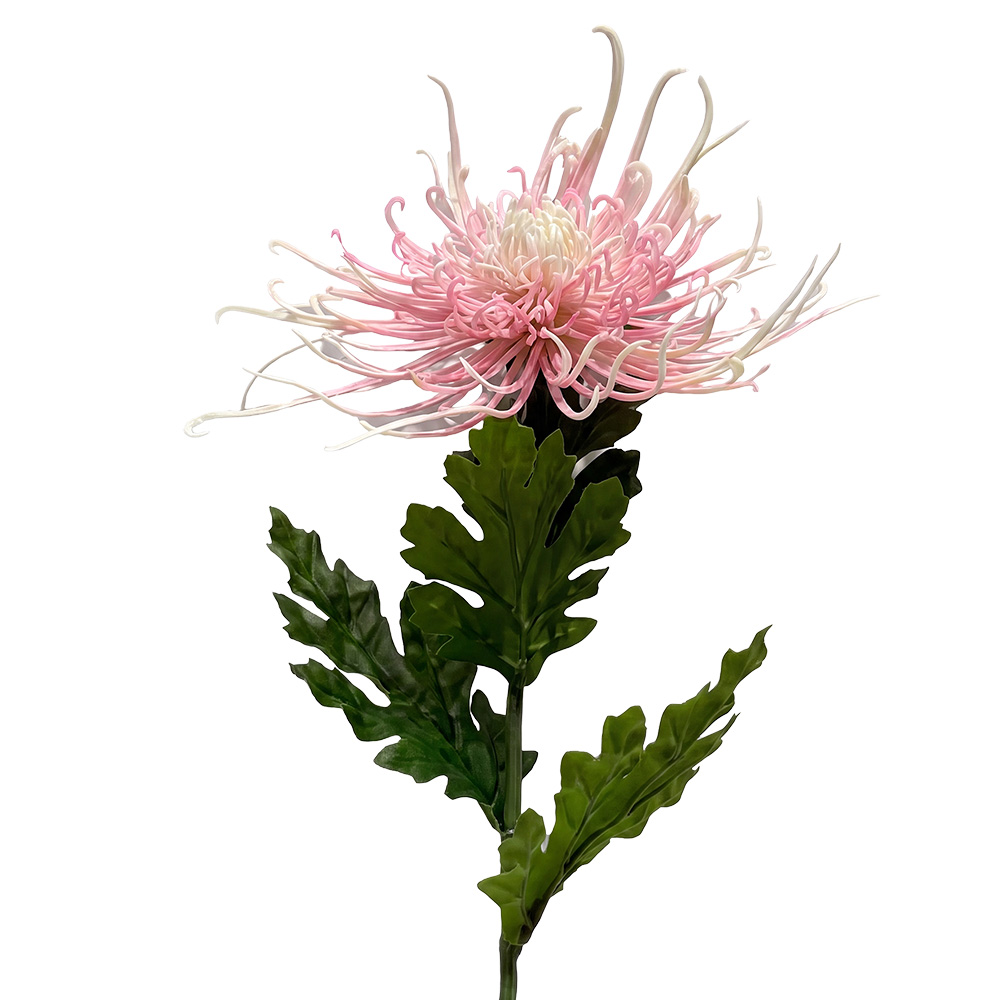 Branche décorative avec fleurs Rose Vert 73 cm