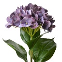 Kunstblumen Violett Grün 16x15x68 cm
