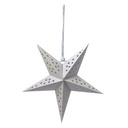 Décoration de Noël Étoile Blanc 30x10x30 cm