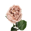 Artificial Flower Roses Beige Green 9x9x43 cm