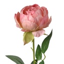 Kunstblumen Rosen Rosa Grün 8x8x62 cm