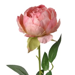 [6PL0366P] Artificial Flower Roses Pink Green 8x8x62 cm