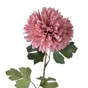Fleur artificielle Rose Vert 10x10x54 cm
