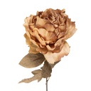 Fiori Finti Peonia Beige Verde 14x14x70 cm