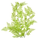 Rami Artificiali Decorativi Verde 15x5x80 cm