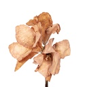 Fiori Finti Marrone 16x16x65 cm