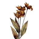 Rami Artificiali Decorativi con fiori Arancio Verde 8x5x60 cm