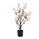 Albero di Magnolia decorazione Rosa Marrone 20x20x75 cm