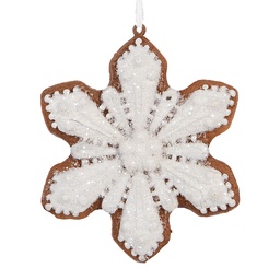 [6PR5353] Decoratie hanger sneeuwvlok 9x1x10 cm