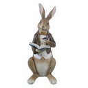Image de décoration Lapin Beige, Marron 15x13x40 cm