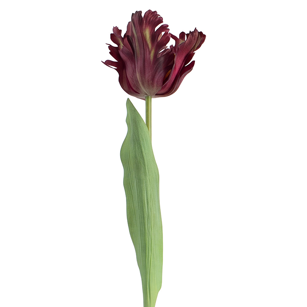 Rami Artificiali Decorativi con fiori Viola Verde 61 cm