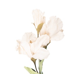 [5PL0256BE] Branche de décoration avec fleurs Beige Vert 10x18x85 cm