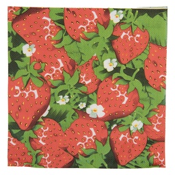 [73187] Paper napkins Red Green 33x33 cm (20)