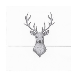 [73089] Paper napkins 33x33 cm (20)