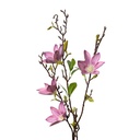 Rami Artificiali Decorativi con fiori Rosa Verde 15x7x84 cm