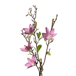 [5PL0129P] Decoratie tak met bloemen 15x7x84 cm