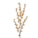 Rami Artificiali Decorativi con fiori Beige 6x6x102 cm