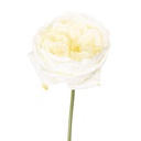 Artificial Flower Roses White Green 9x9x35 cm