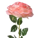 Fleur artificielle Roses Rose Vert 19x19x75 cm