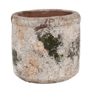 Pot de fleurs d`intérieur Beige Vert Ø 12x11 cm