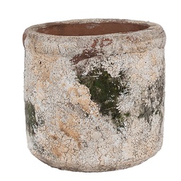 [6TE0516S] Blumentopf für Innen Beige Grün Ø 12x11 cm